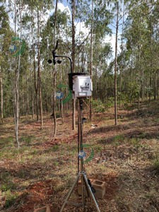 1562123704827711.jpg 4.jpg