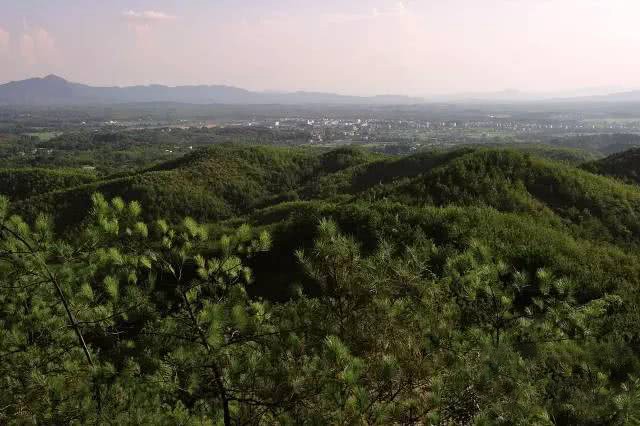 圖片關(guān)鍵詞