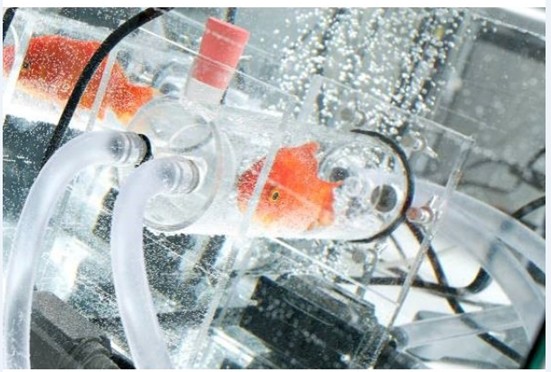 1632984824167359.png blob.png