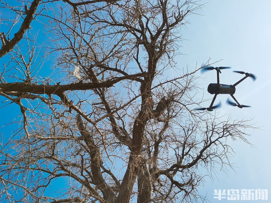 圖片關(guān)鍵詞