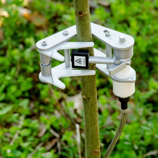 樹干直徑變化測(cè)量傳感器 樹干直徑變化測(cè)量傳感器