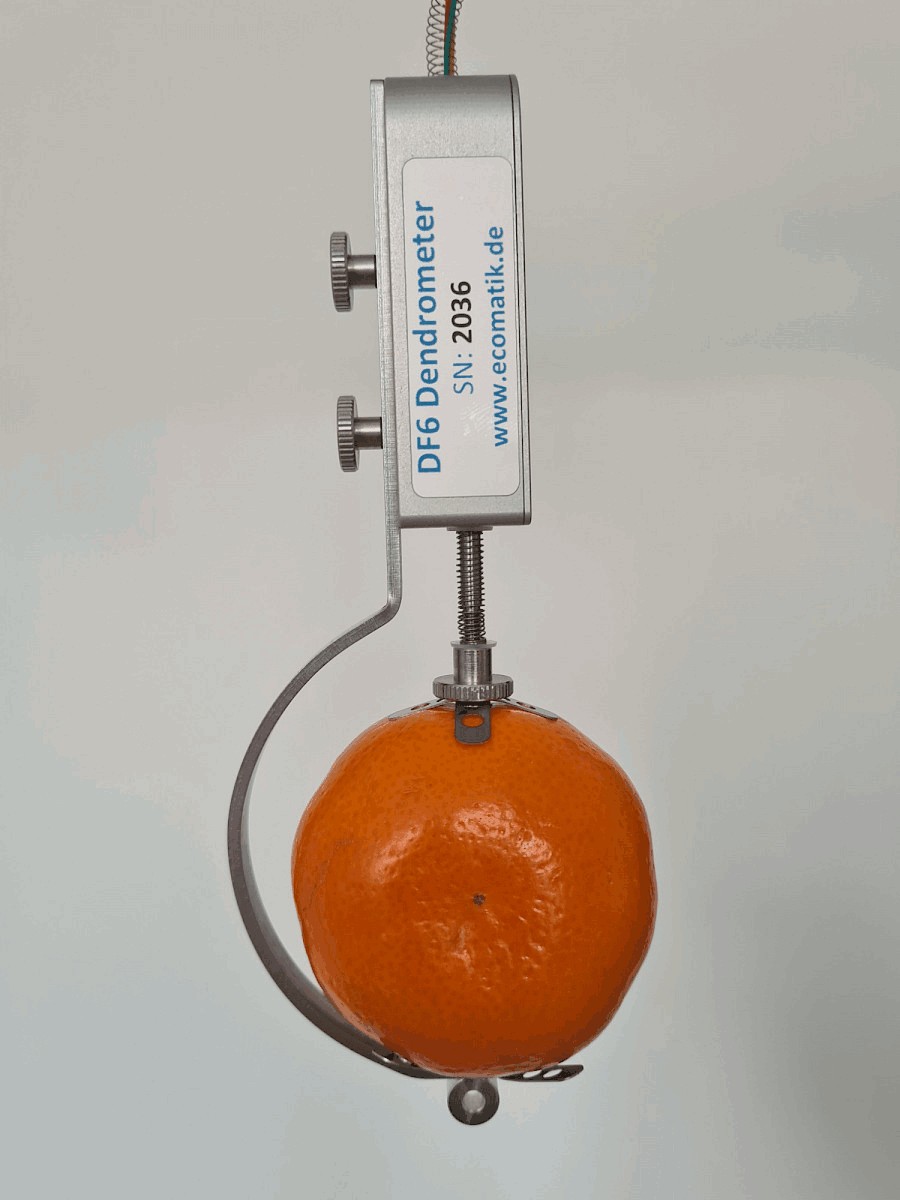 生長測量傳感器 生長測量傳感器