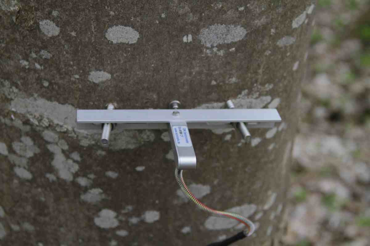 半徑生長(zhǎng)測(cè)量?jī)x 半徑生長(zhǎng)測(cè)量?jī)x