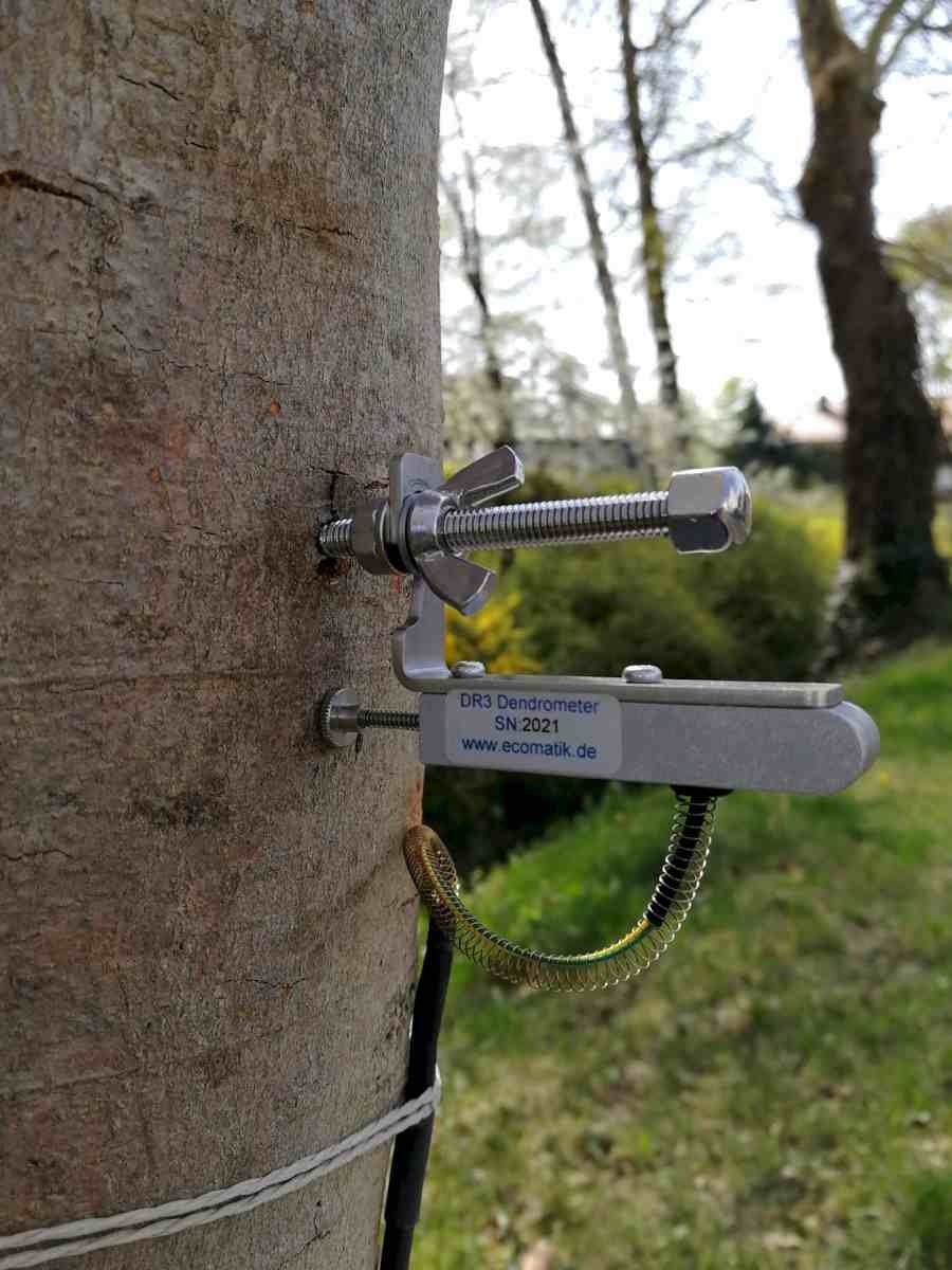 半徑生長(zhǎng)測(cè)量?jī)x 半徑生長(zhǎng)測(cè)量?jī)x