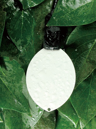 葉片濕度傳感器 葉片濕度傳感器