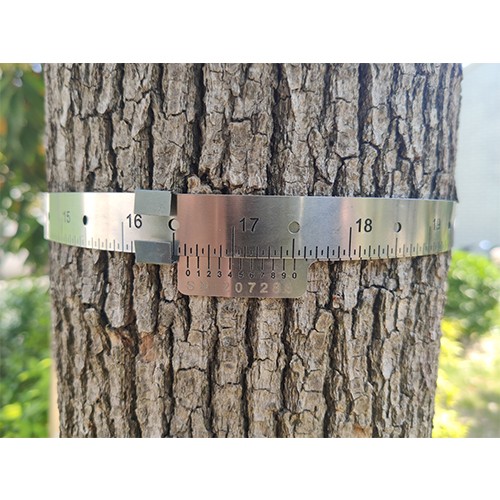  樹(shù)木胸徑生長(zhǎng)測(cè)量環(huán)