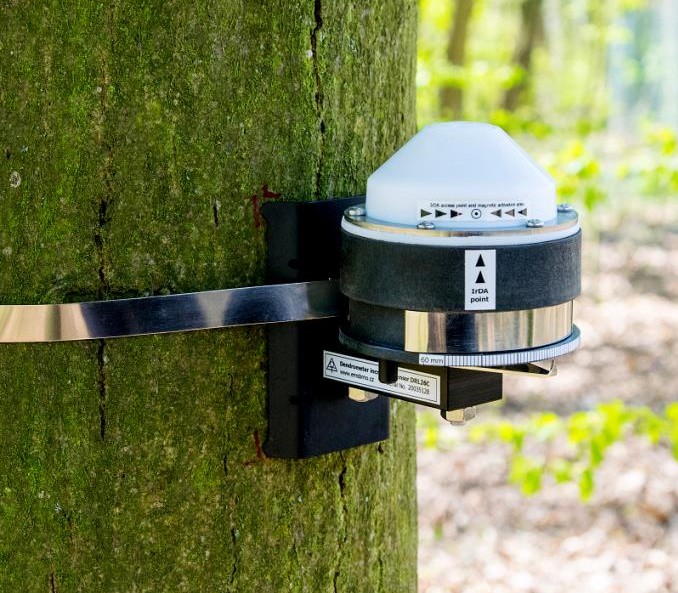 樹(shù)干莖稈生長(zhǎng)變化測(cè)量?jī)x