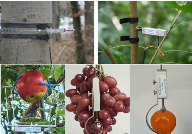 植物生長(zhǎng)測(cè)量傳感器 植物生長(zhǎng)測(cè)量傳感器