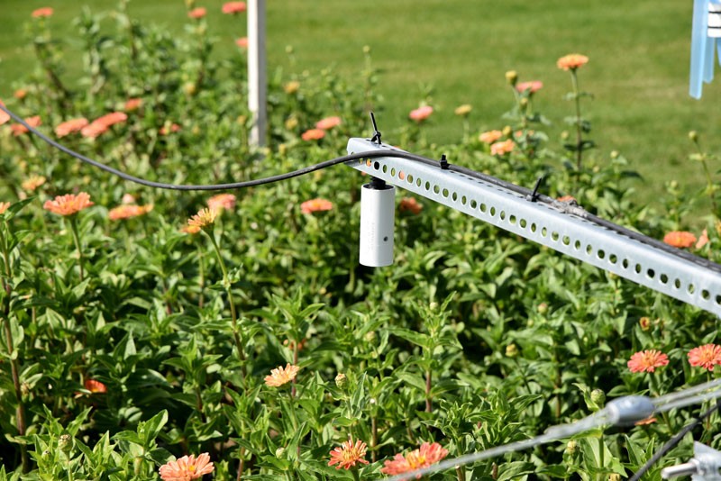 葉片/冠層溫濕度監(jiān)測(cè) 葉片/冠層溫濕度監(jiān)測(cè)